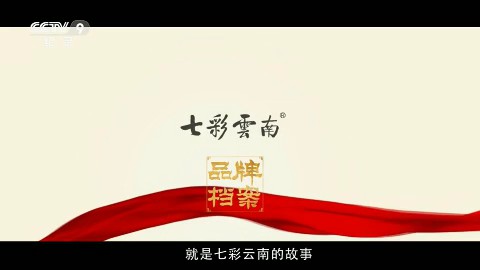 城市形象——七彩雲南(nán)故事CCTV-9_央視廣告片
